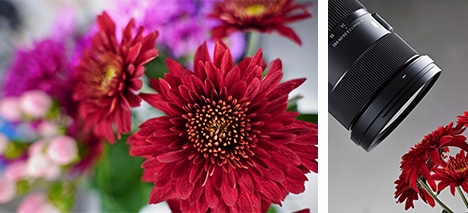 SIGMA OBIEKTYW Art 24-70 mm f2.8 DG DN SONY E | uniwersalny jasny zoom Ogniskowa 24-70 mm