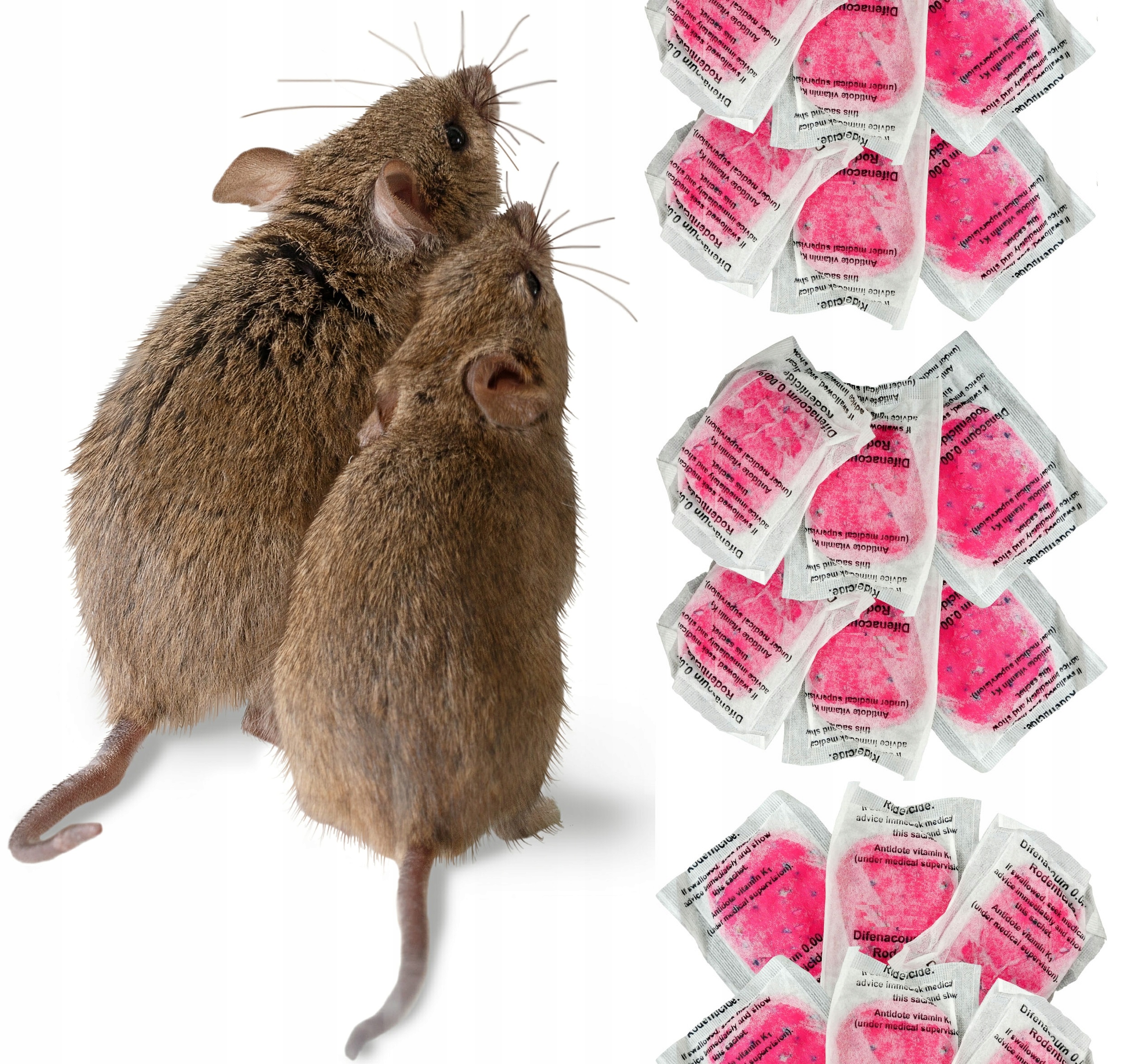 

Sideon Trutka Nornice Myszy Szczury Karczownik 1kg