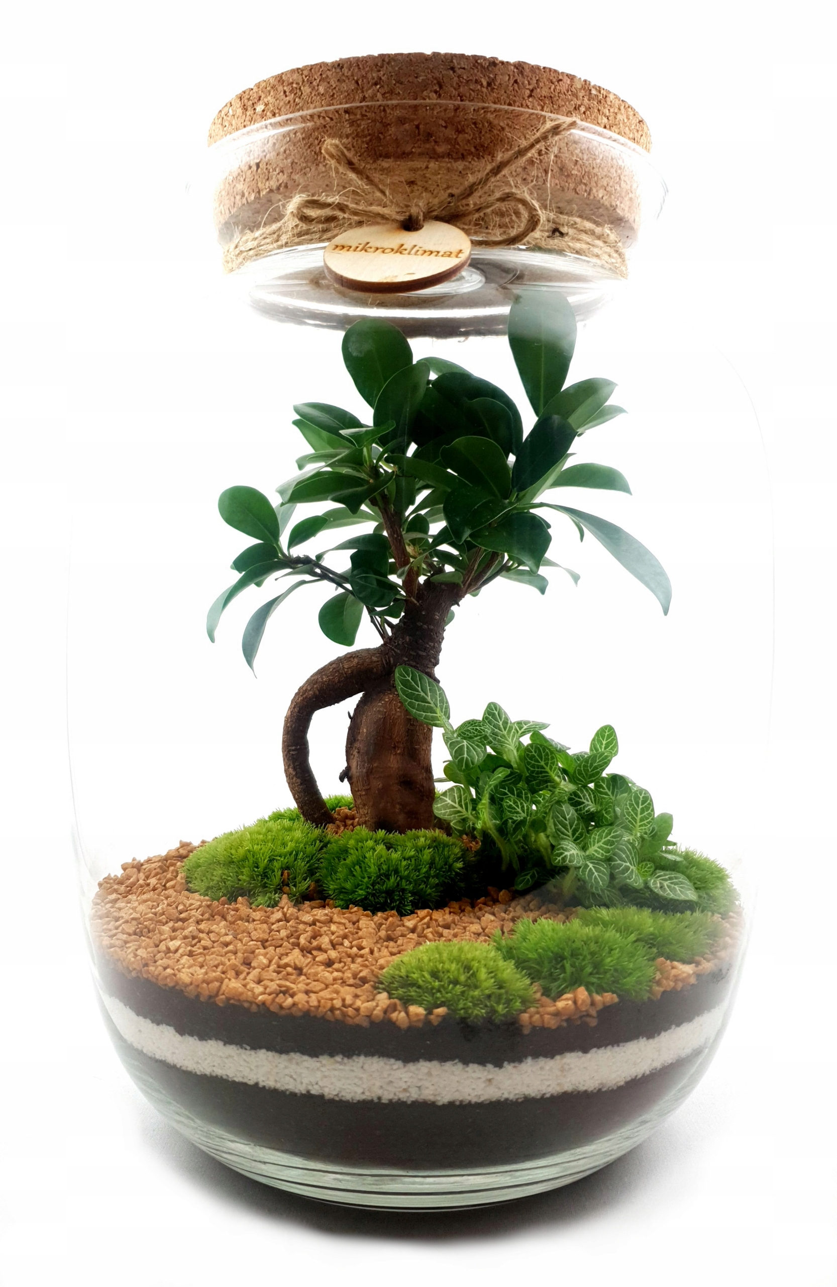 

MikroKlimat Las w słoiku Podświetlany Led wys 33cm