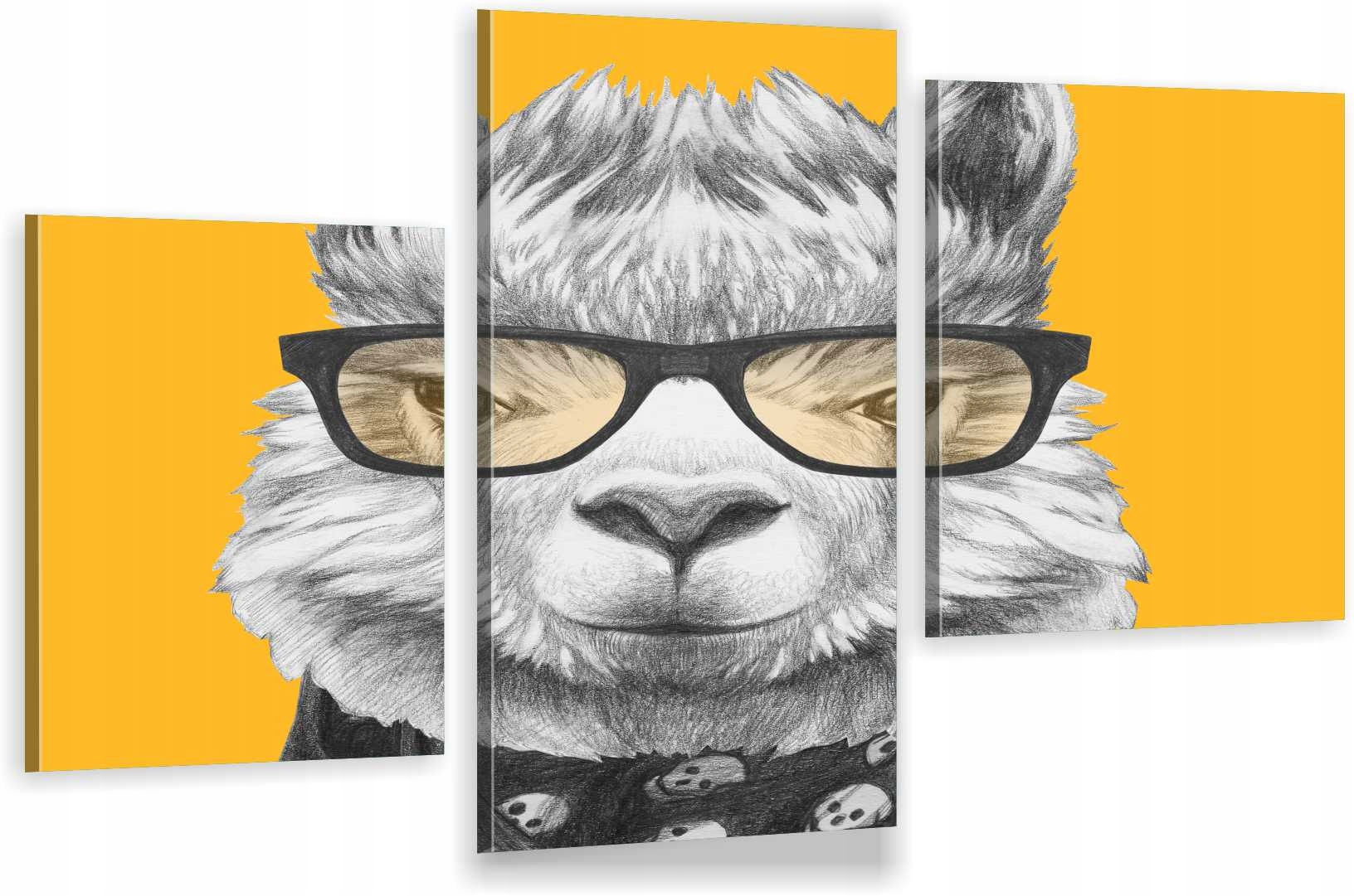 

Tryptyki Obraz Na Ścianę Lama W Okularach 800 Wz