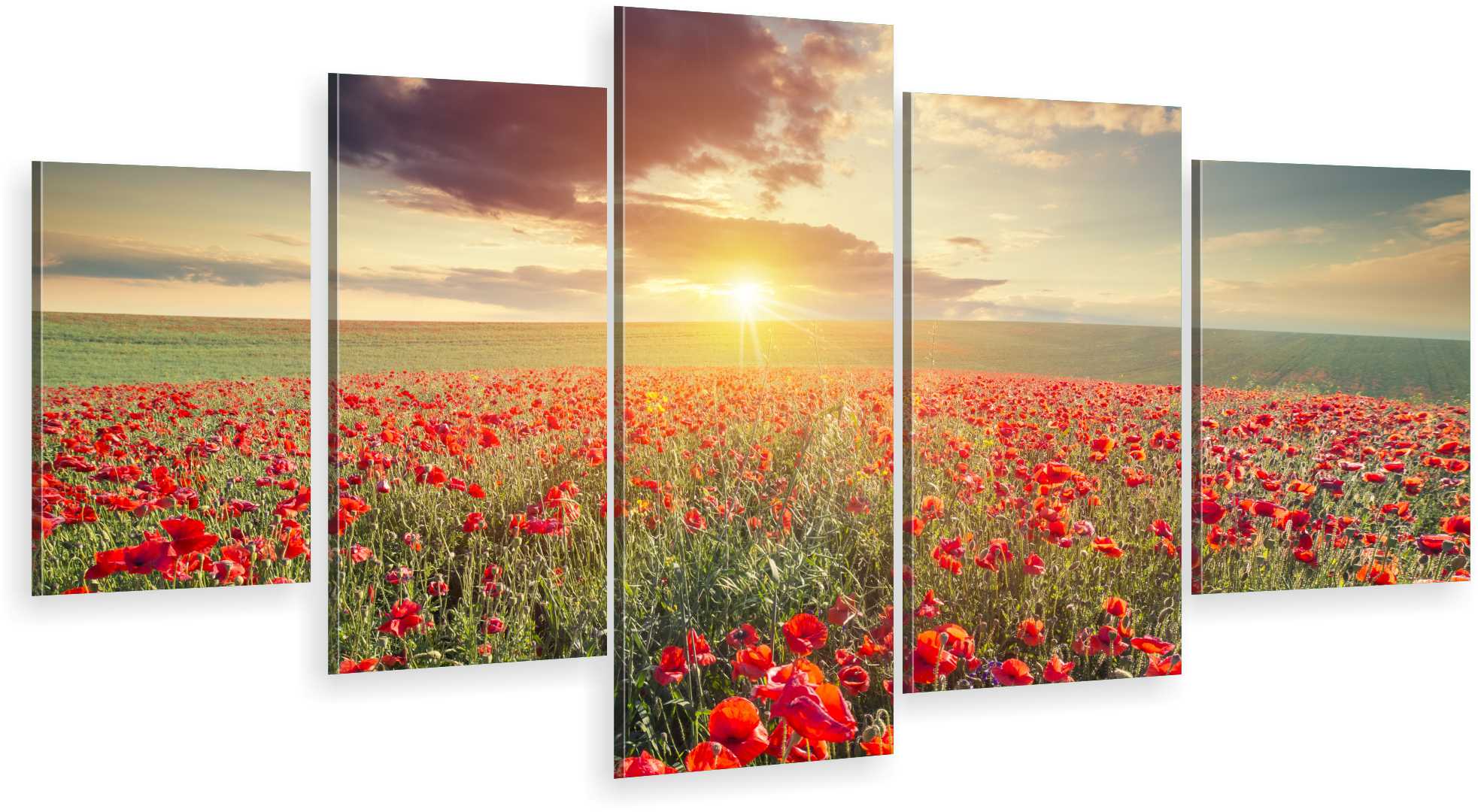 

Tryptyk 5-CZĘŚCI Na Ścianę Do Salonu Maki Zachód