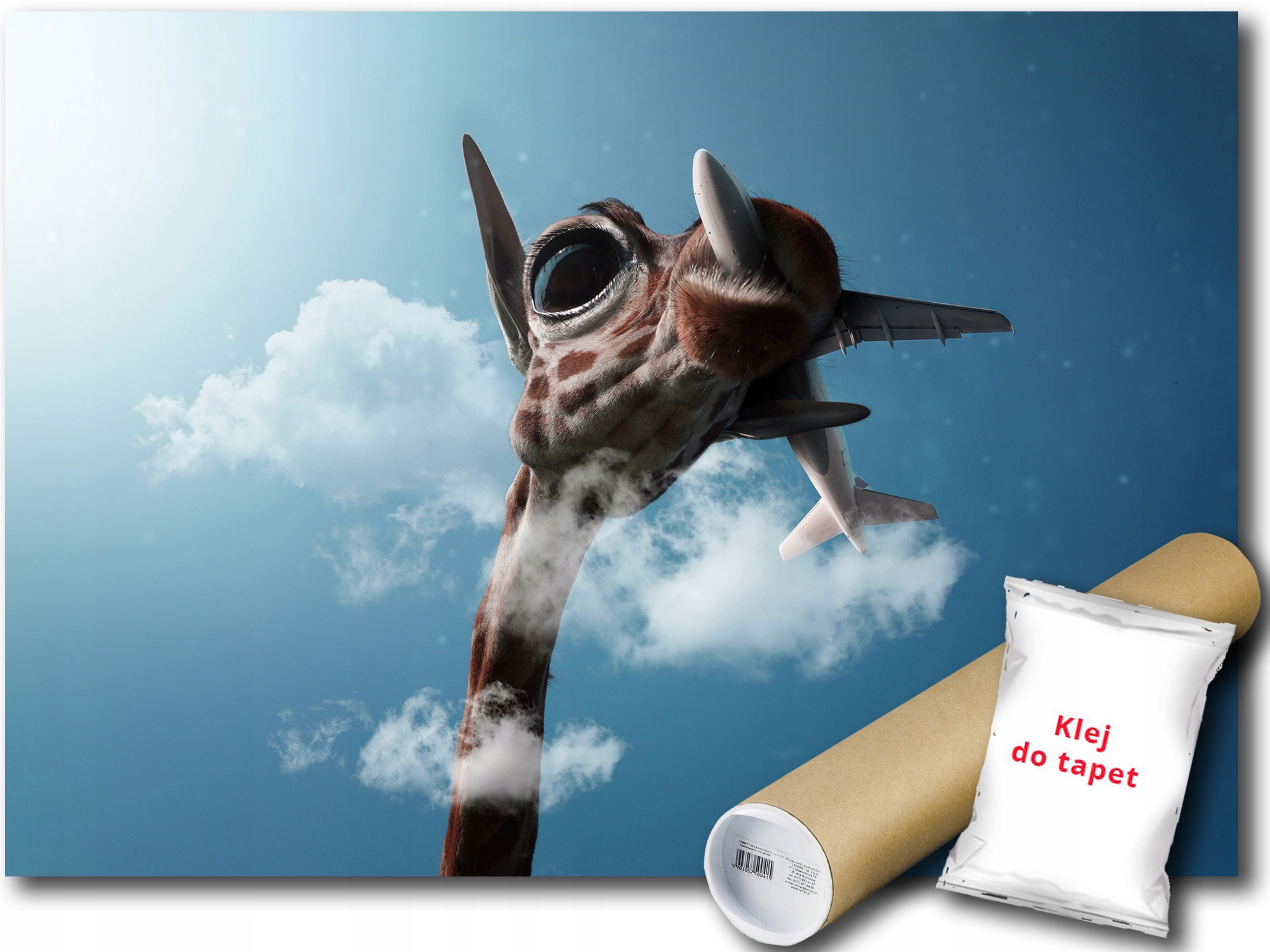 Fototapeta Žirafa Letadlo 12C F3XL 416x254 F13158