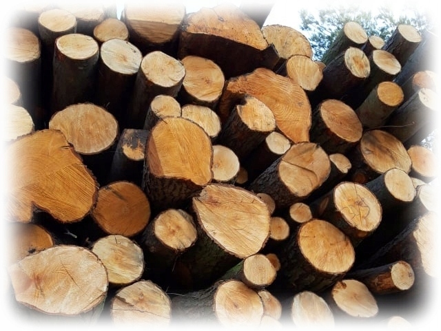 DREWNO KOMINKOWE dąb olcha brzoza liściaste 12 kg Typ produktu drewno