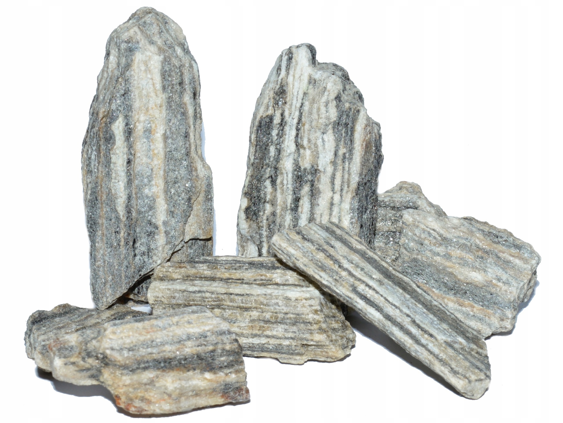 

Kora Kamienna Dekoracja Zestaw Las W Słoiku 1 kg