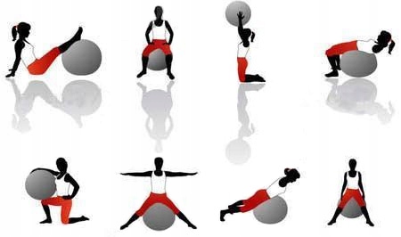 PIŁKA GIMNASTYCZNA 65 REHABILITACYJNA TRENER Kod producenta PT65BI