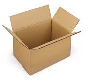 OKULARY PRZECIWSŁONECZNE POLAROID PLD 4131 ETUI Płeć kobieta