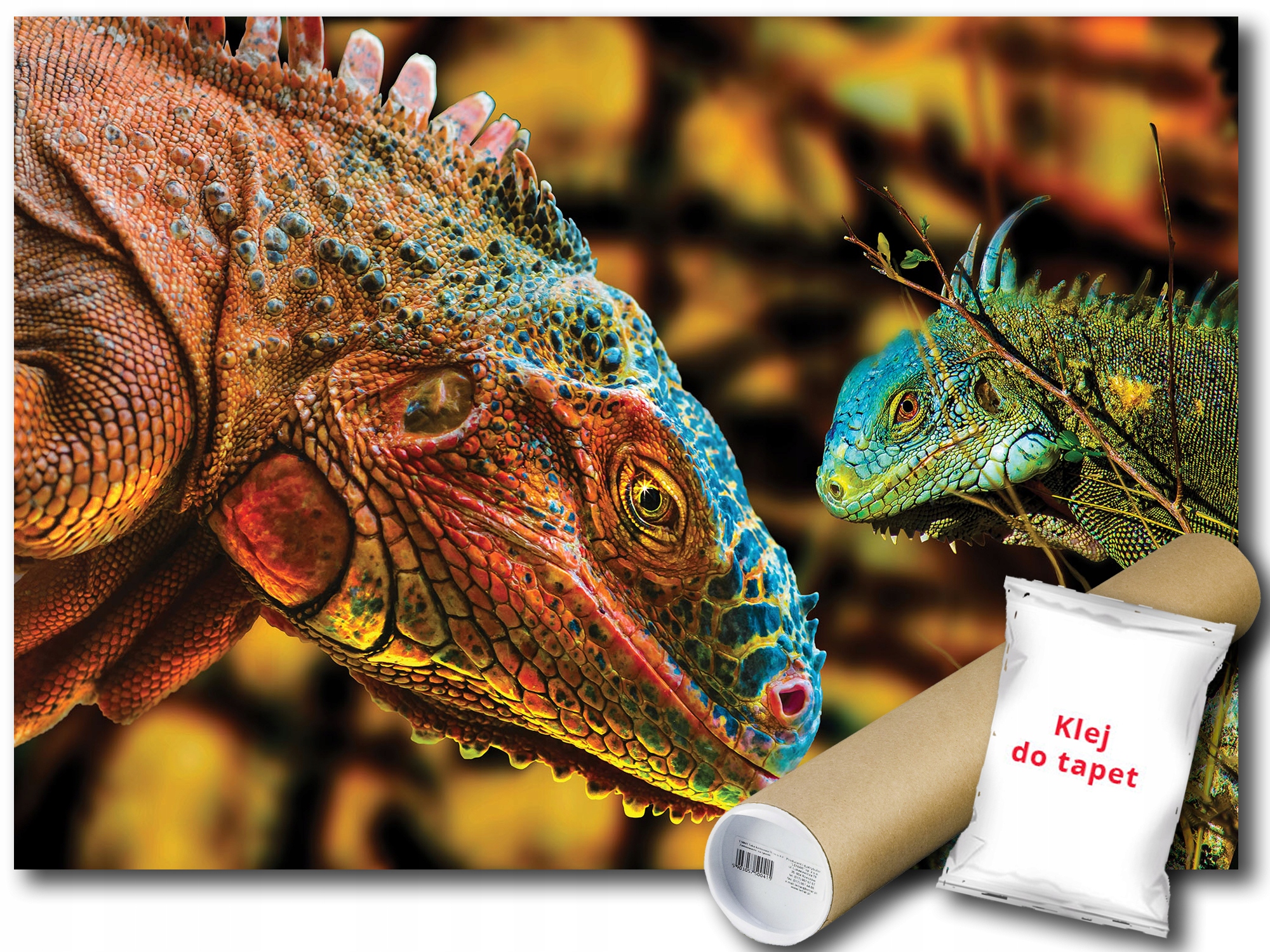 Fototapeta Legwan Waran 12C F2XL 312x219 F10568