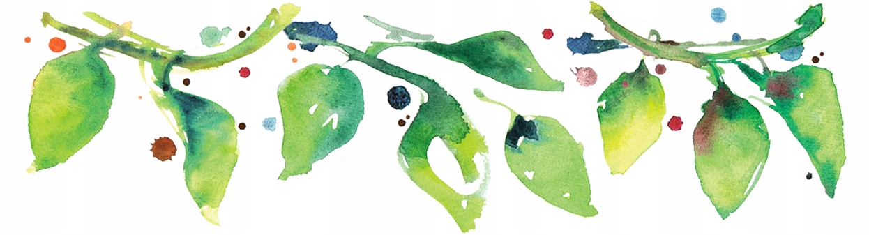 EKOLOGICZNE ORZECHY NERKOWCA 300G BATOM BIO Postać całe orzechy