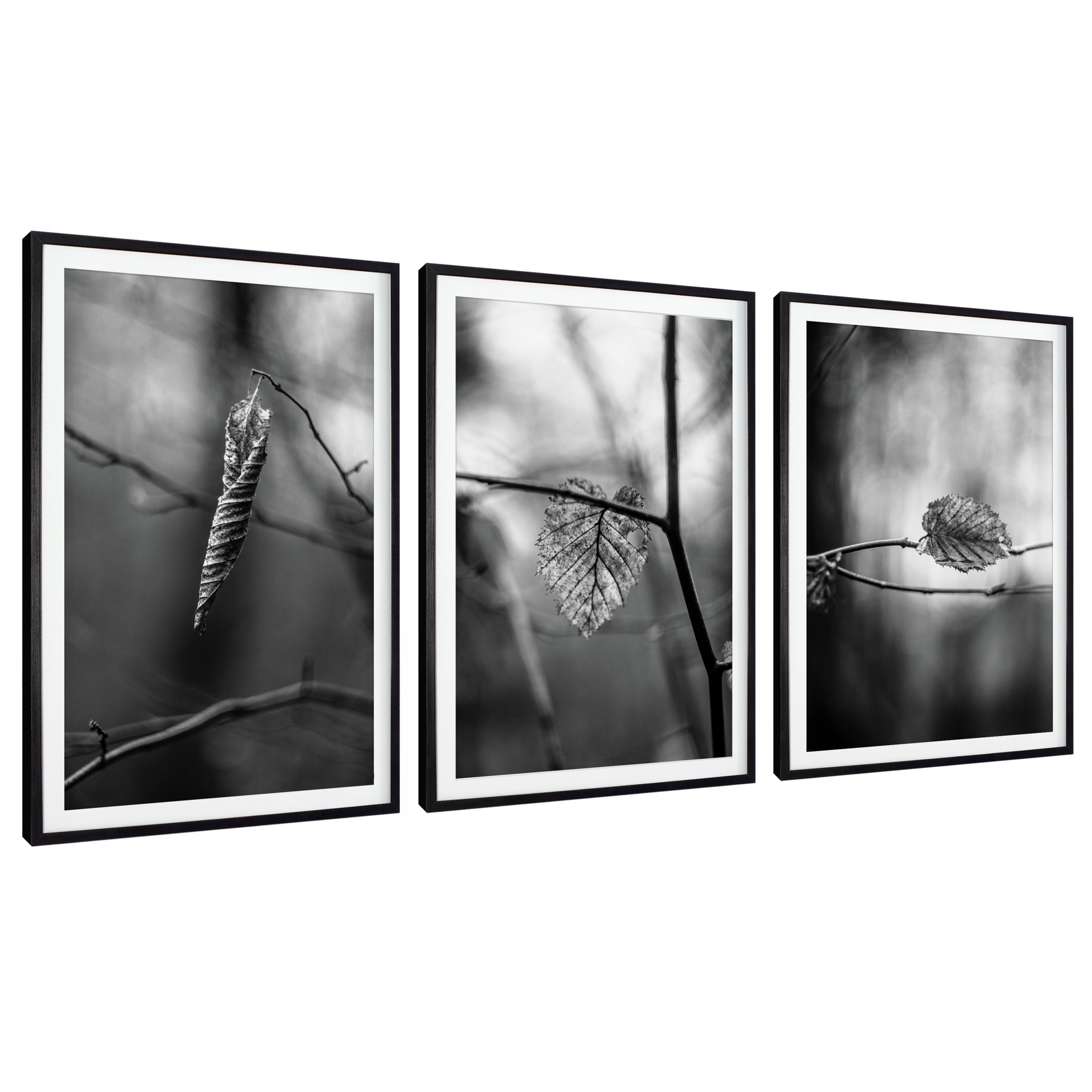 

Nowoczesne Obrazy, plakaty w ramie duże 3x 40x60cm