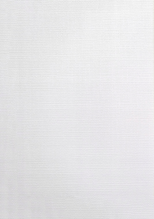 

Papier wizytówkowy ozdobny ryps biały 246g 20A4