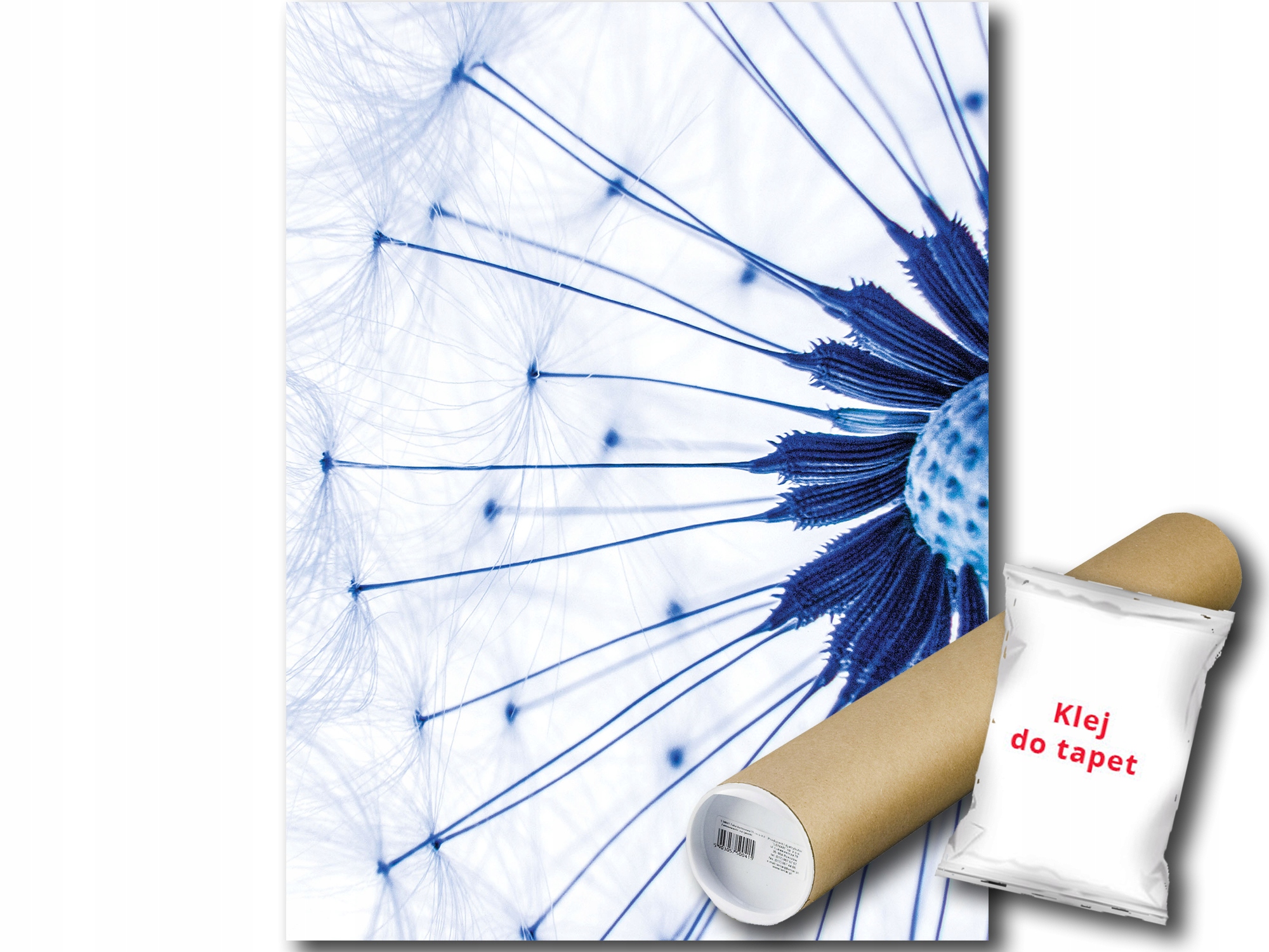 Fototapeta Pampeliška 9A Panxl 206x275 F1024