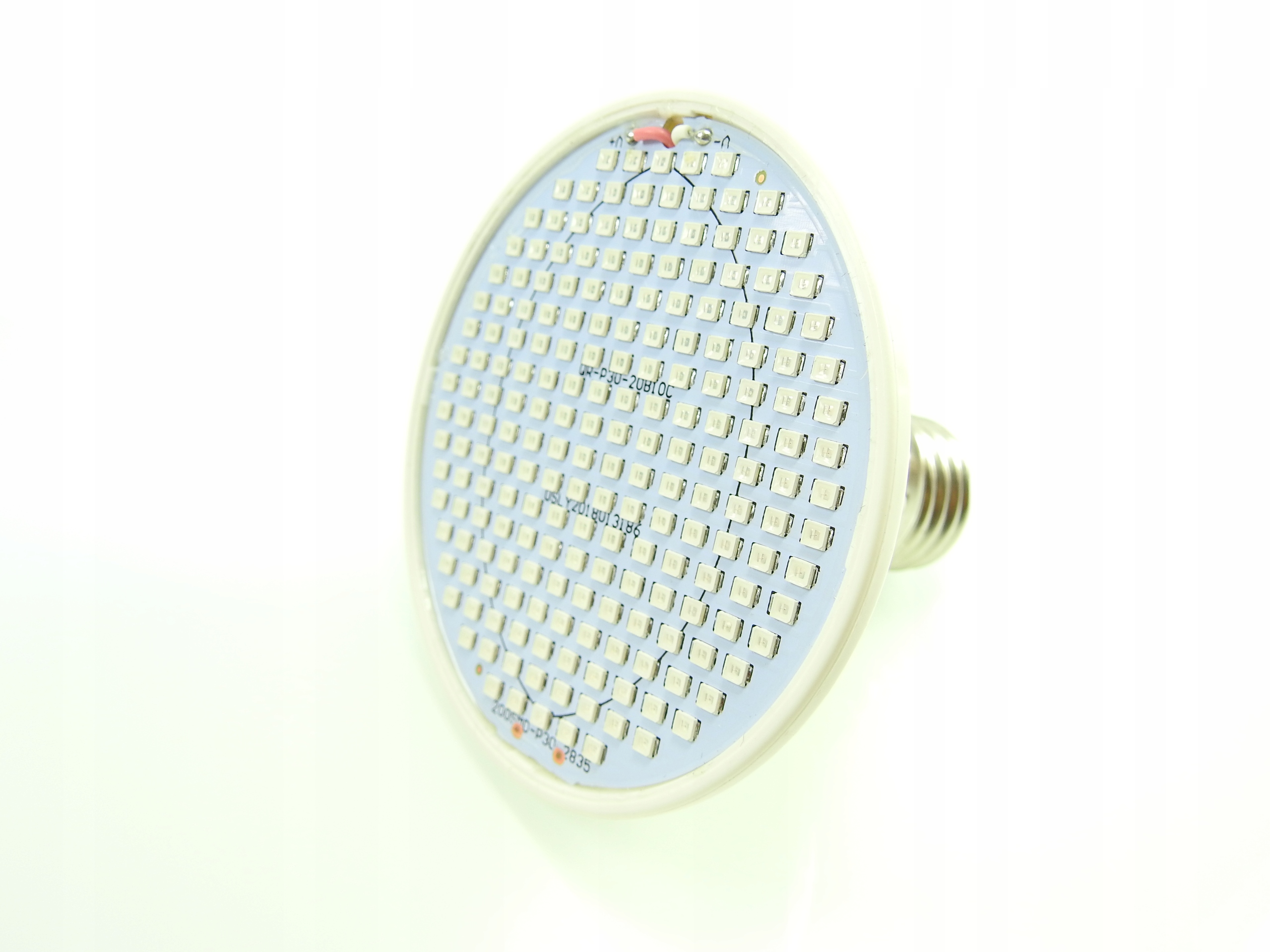 ŻARÓWKA LED GROW LIGHT DO UPRAWY ROŚLIN 20W BIAŁA Typ oświetlenia GROW