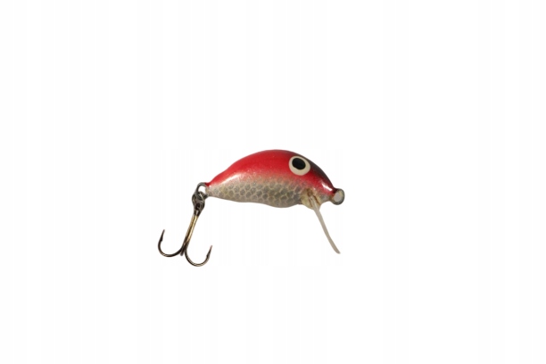Woblery Gębale "assan" 2,5cm Teeny W0126