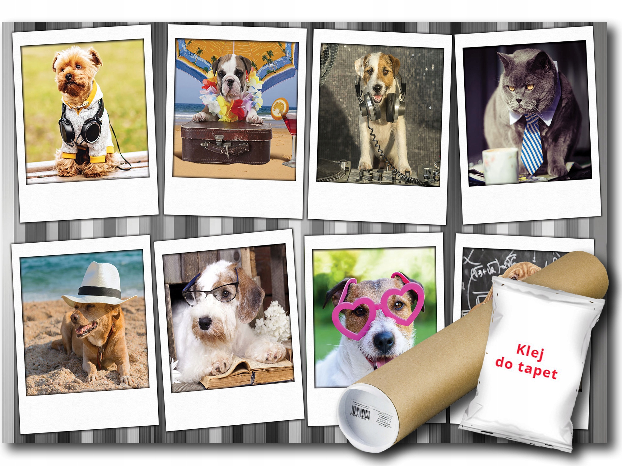 Fototapeta Pes Psi Kočka 12D F3XL 416x254 F10454
