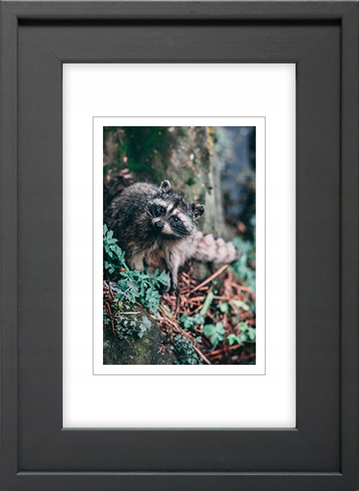 

Ramka Na Zdjęcia Grafitowa Rama 30x45 CM