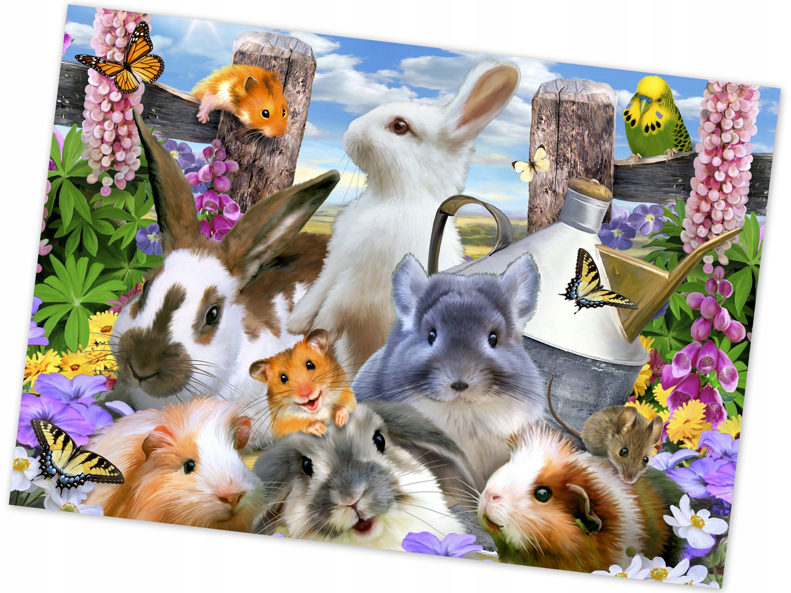 

Fototapeta Zwierzęta Domowe 208x146 Flizelina