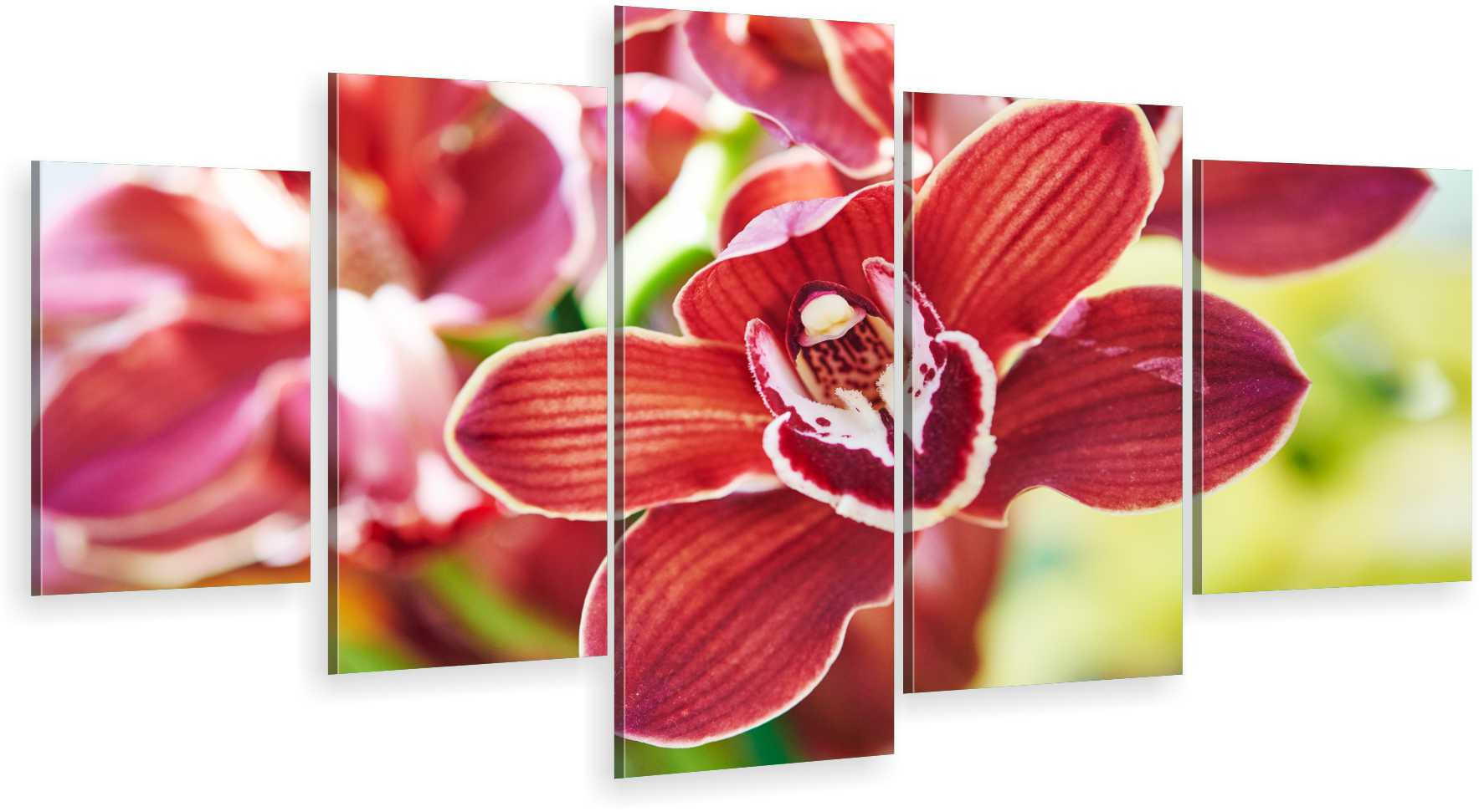 

Tryptyk 5-CZĘŚCI Na Ścianę Czerwona Orchidea 980WZ