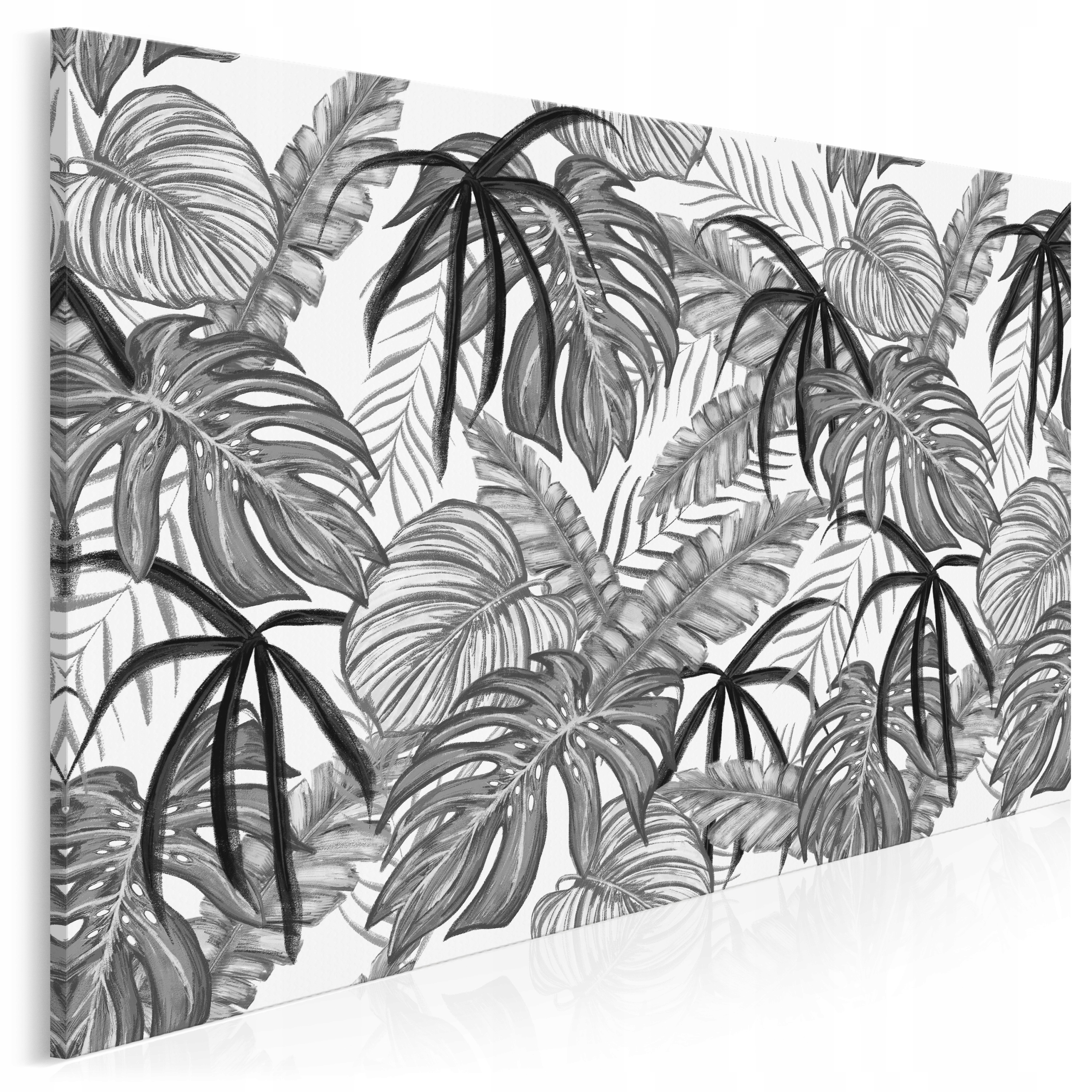 

92901 Obraz na płótnie Liście Czarno-biały Dżungla