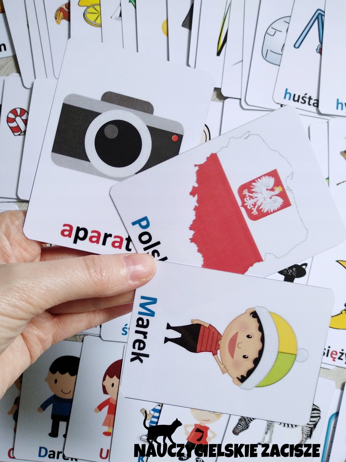 KARTY OBRAZKOWE dla dzieci|x138|nauka czytania Wydawnictwo Nauczycielskie zacisze