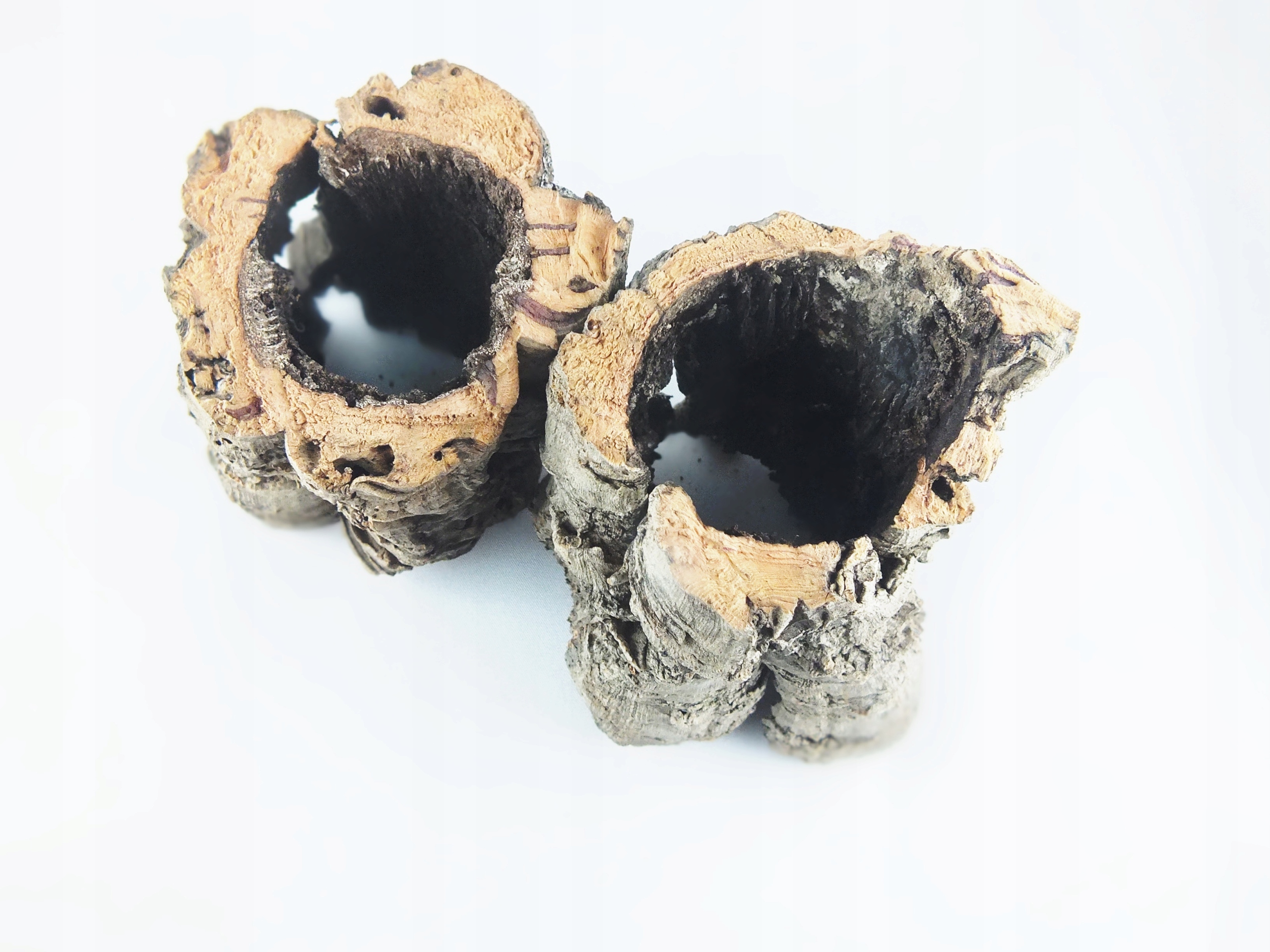 

Tubki korkowe średnie (SpidersForge)