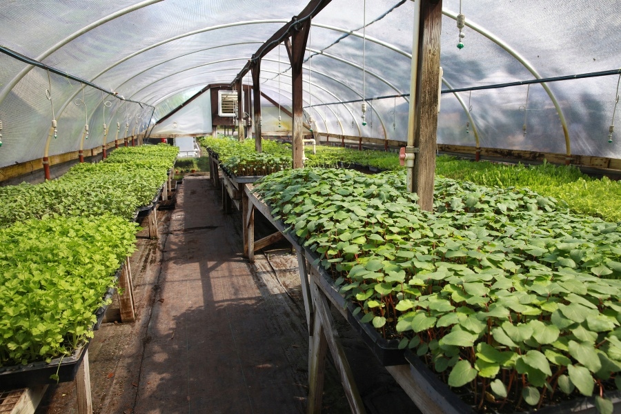 Płachta tunelowa folia pod wymiar Gardenvit UV10 Powierzchnia 0 m²