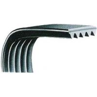 

Pasek napędowy wielorowkowy 4PJ 373 mm