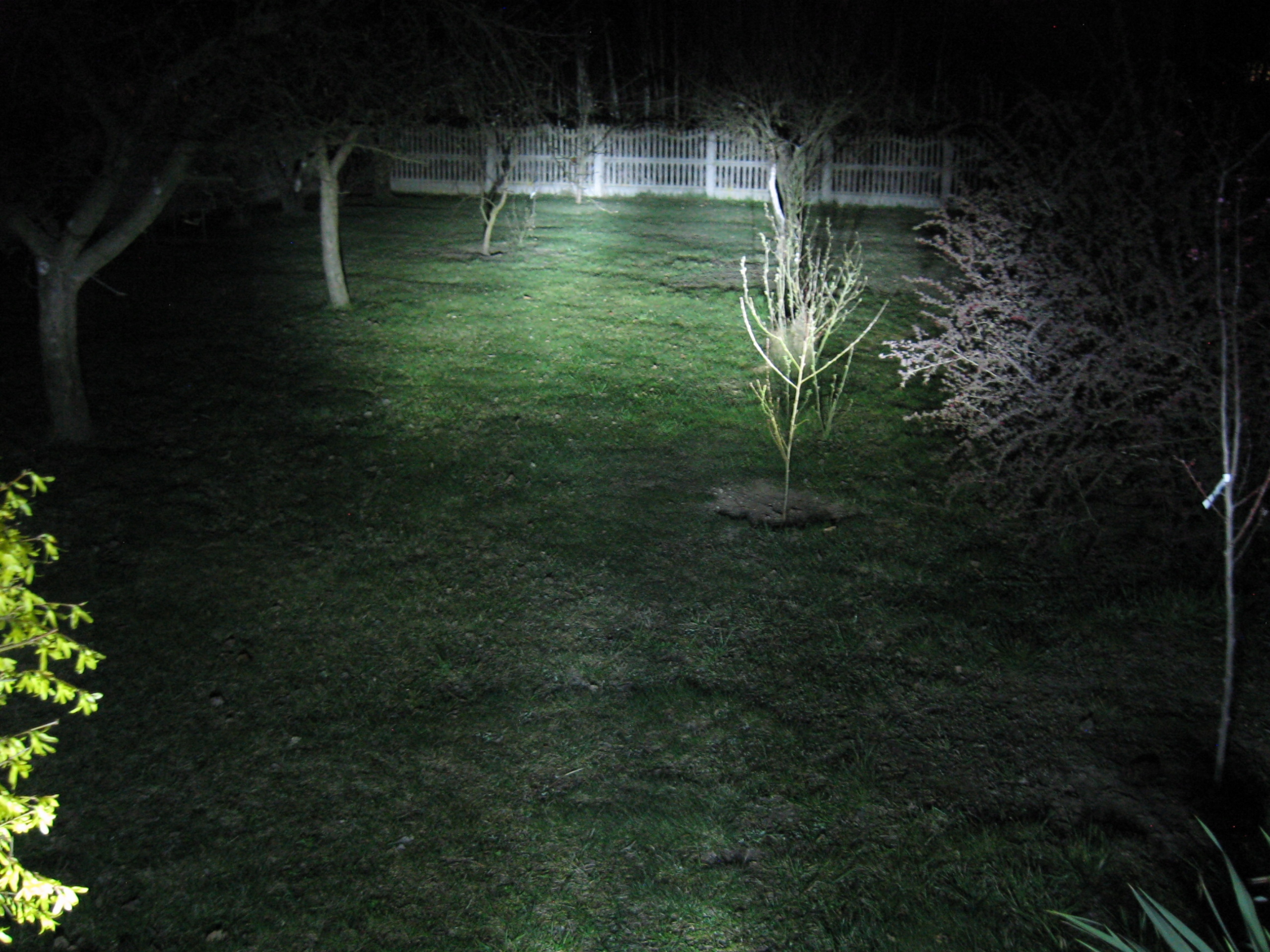 Zarowka LED 6V 12V 32 21W K750 M72 DNIEPR IZ URAL Parts manufacturer Other