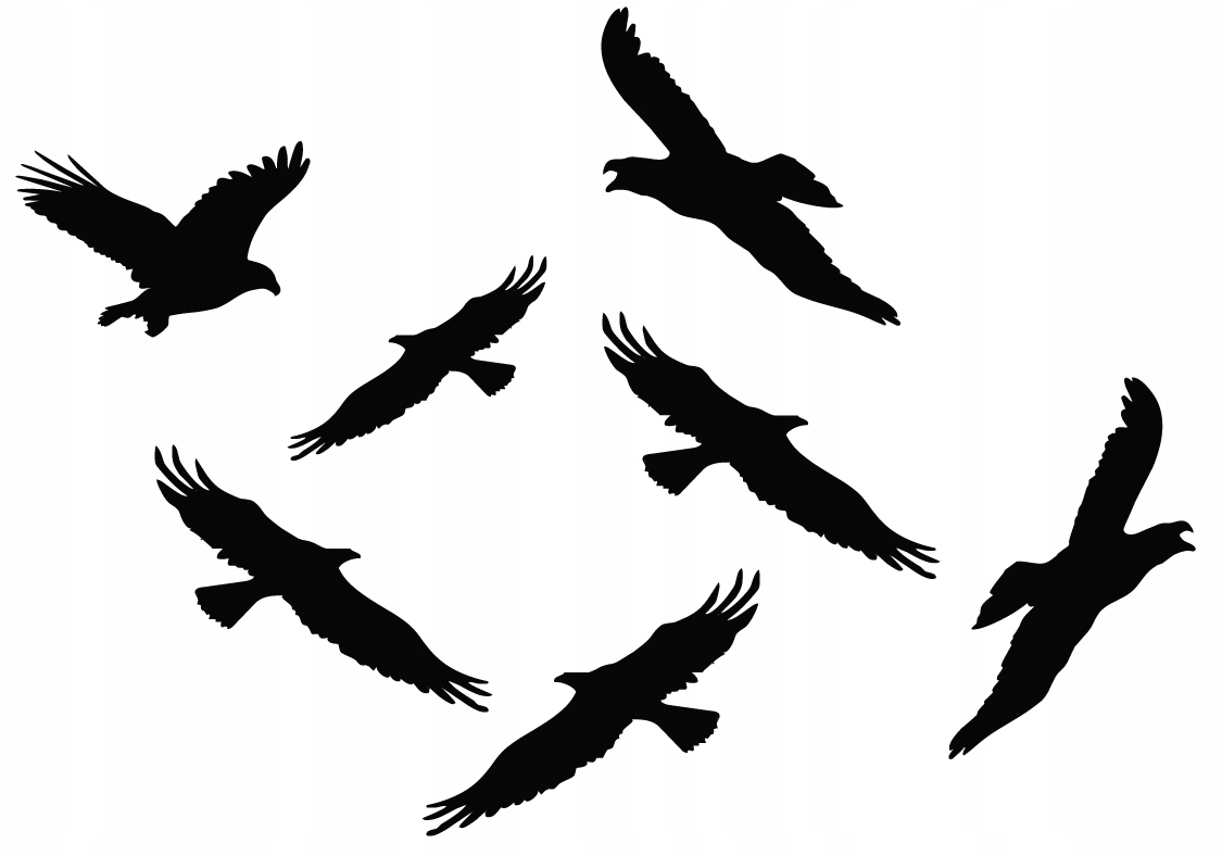 

Naklejki Na Szybę Odstraszające Ptaki Odstraszacz