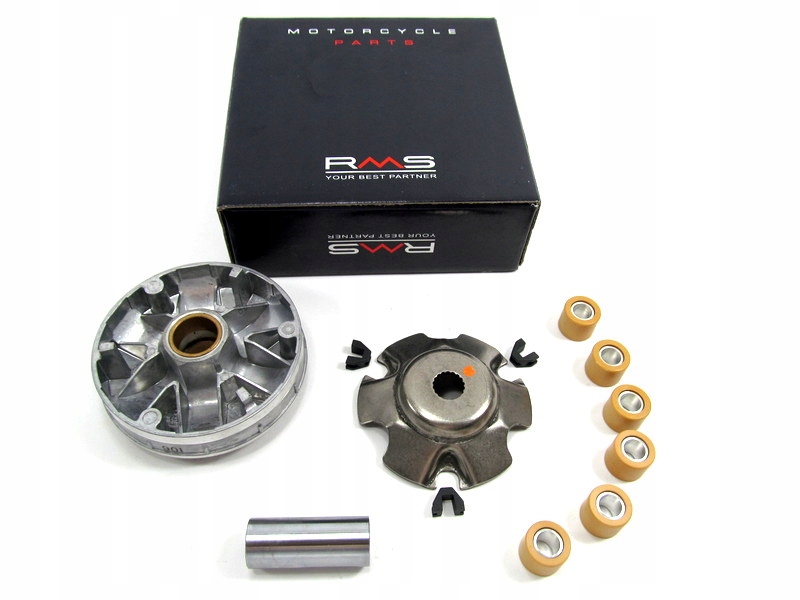 Włoski wariator Aprilia SR 50 Factory Racing Piaggio NRG od 1998r Typhoon