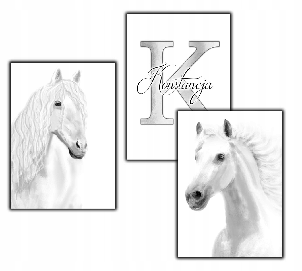 

3 szt konie białe koń plakat literka metryczka a3