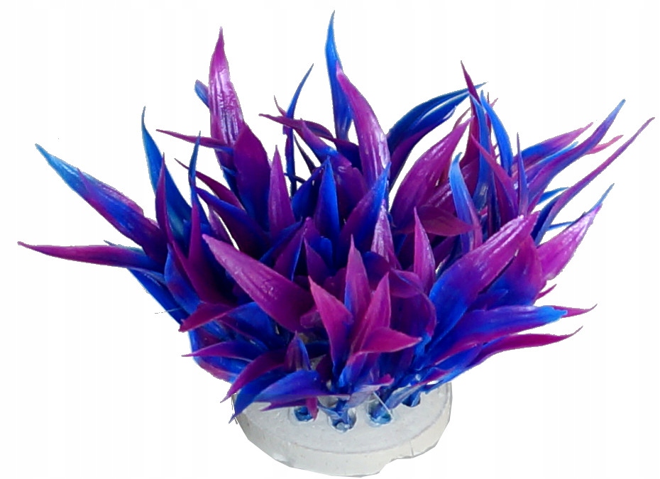 

dekoracyjna roślinka do akwarium trawa w kępce 9cm