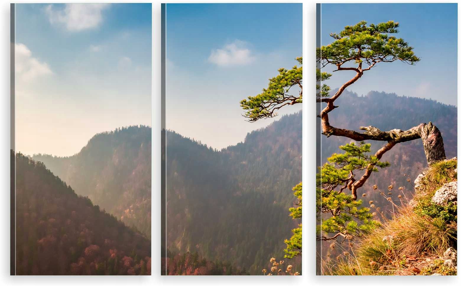 

Tryptyk Obraz Na Ścianę Pieniny Sokolica Sosna