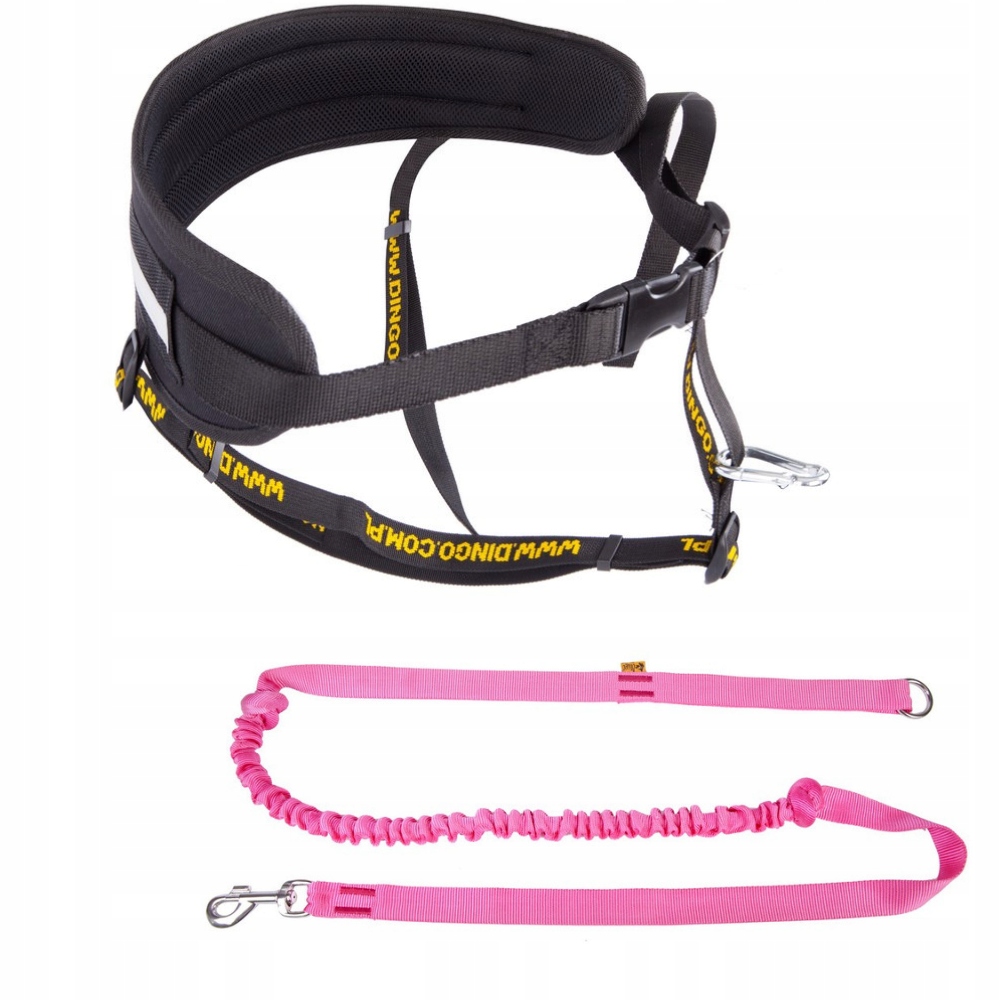 

Dingo Komplet Pas Do Biegania + Smycz Różowa