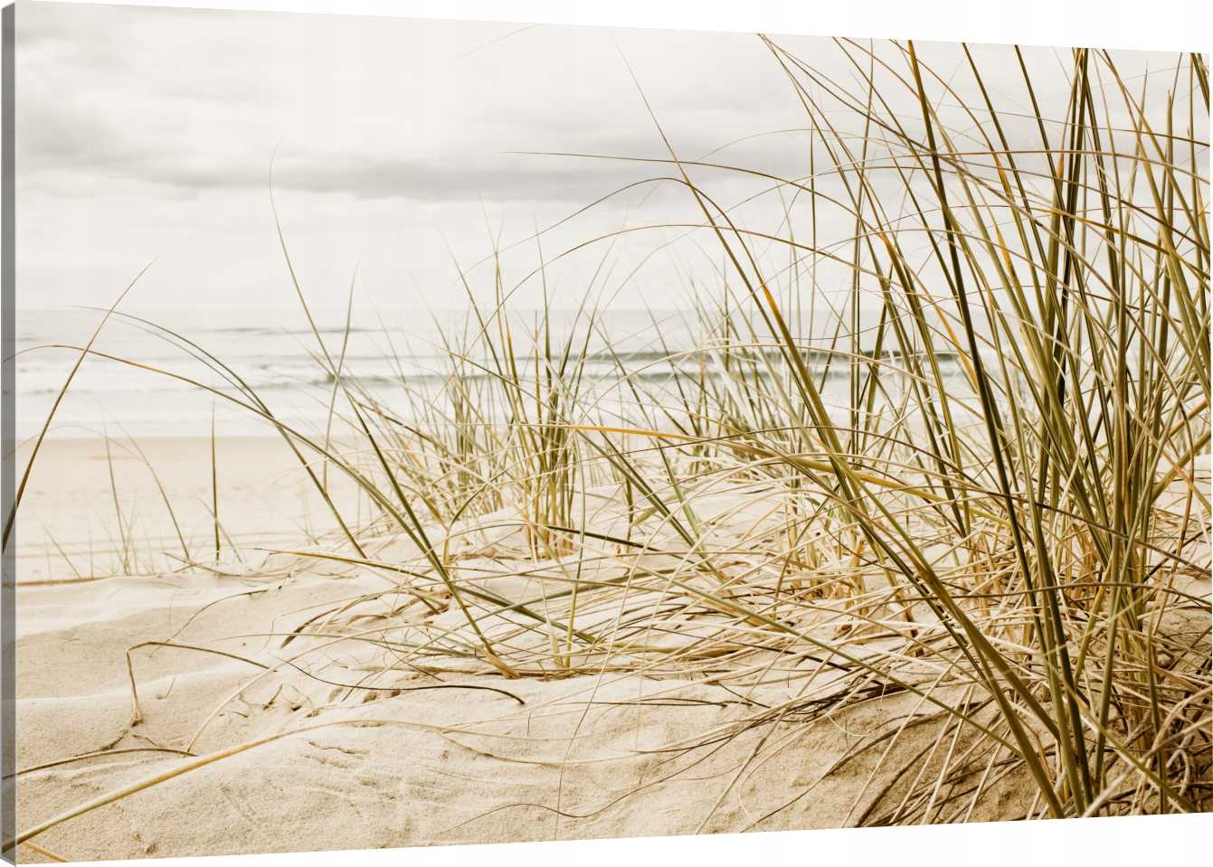 

Obraz Na Płótnie Plaża Piasek Natura 110x70 800 Wz