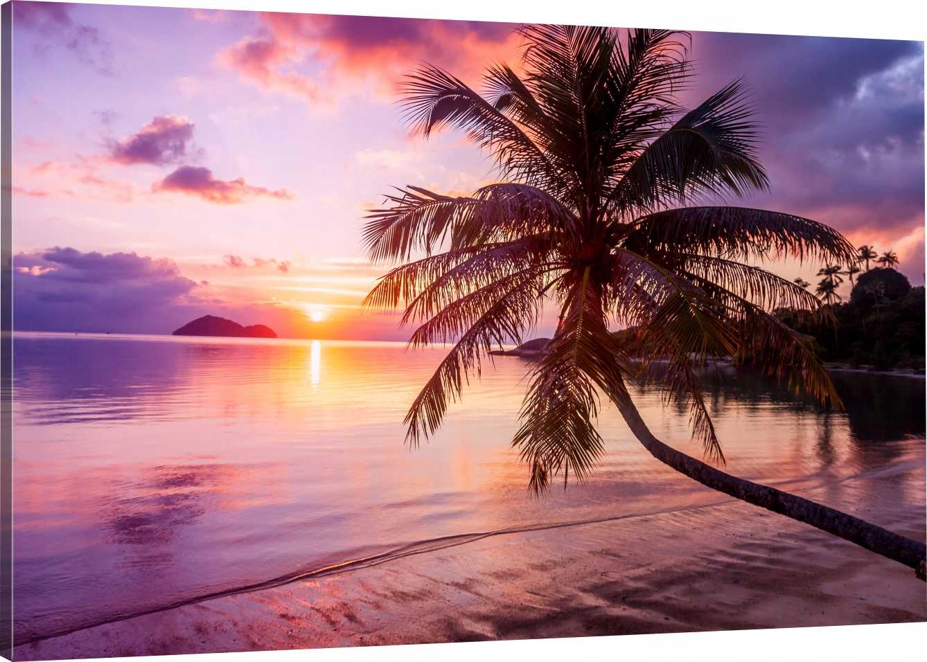 

Obraz Na Płótnie Do Sypialni Palma Zachód 90x60