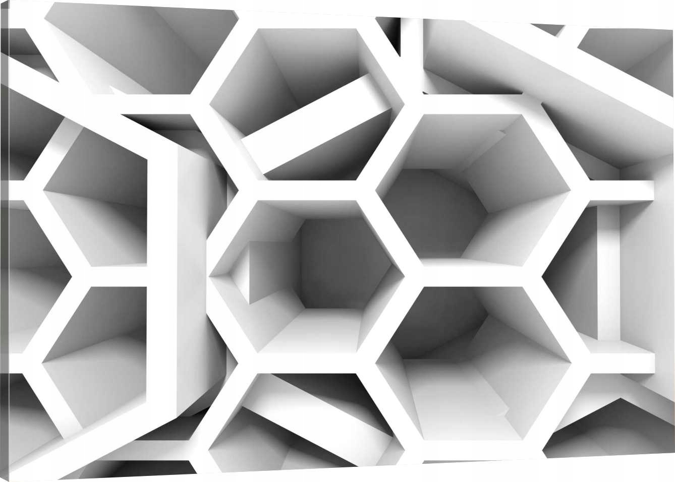 

Obraz Na Płótnie Geometria 70x50 980 Wzorów