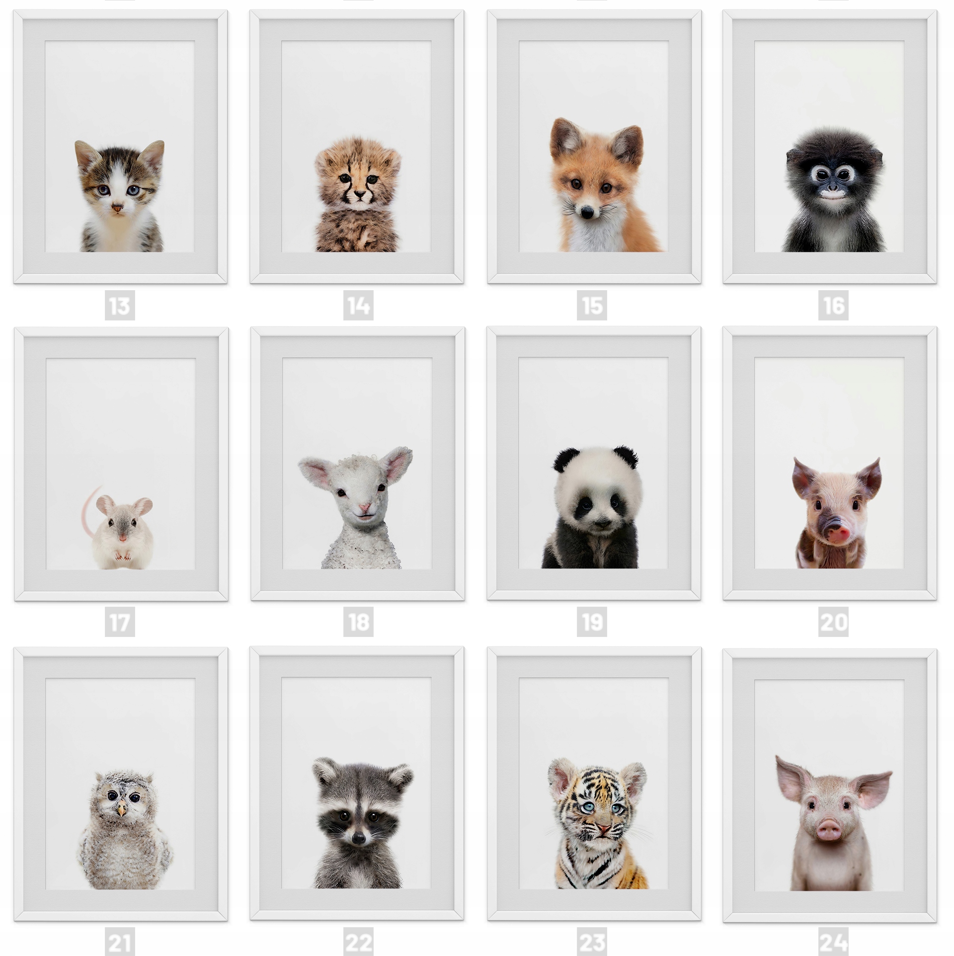 Plakaty dla Dzieci Zwierzęta Koń Panda Szop Kot A3 Szerokość produktu 29.7 cm