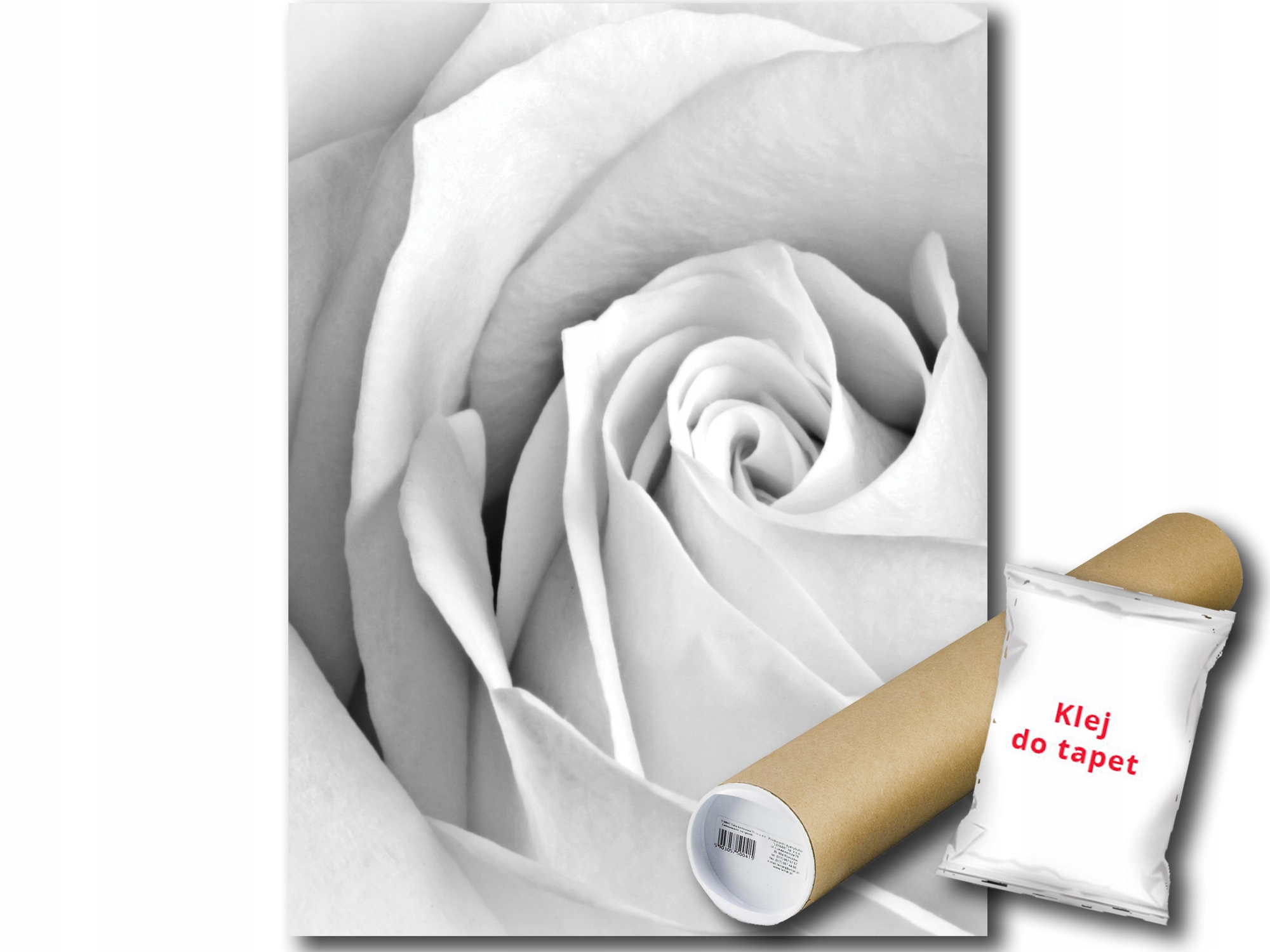 Fototapeta Biela Ruža 9B Panxl 206x275 F2256