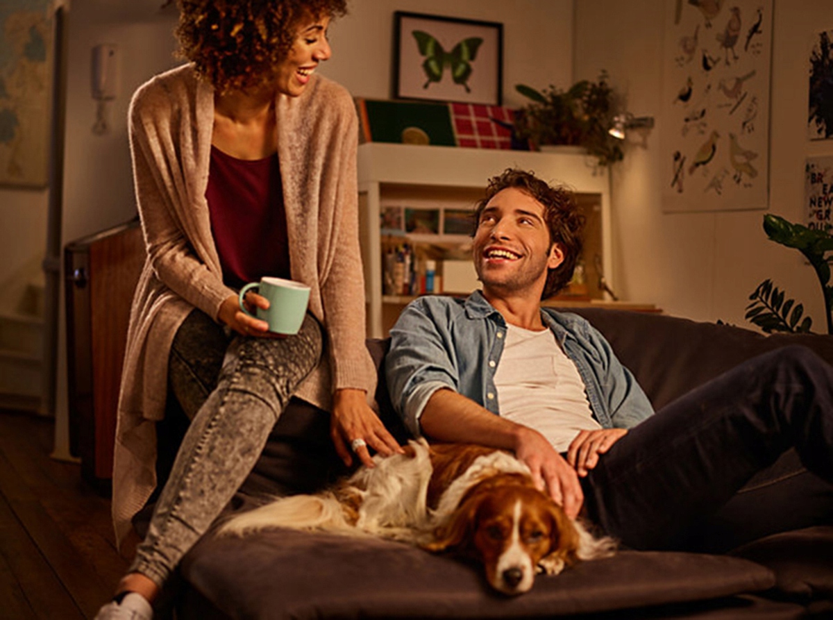 Żarówka LED HALOGEN GU10 4,6W 50W PHILIPS 2700K 36 Rodzaj LED