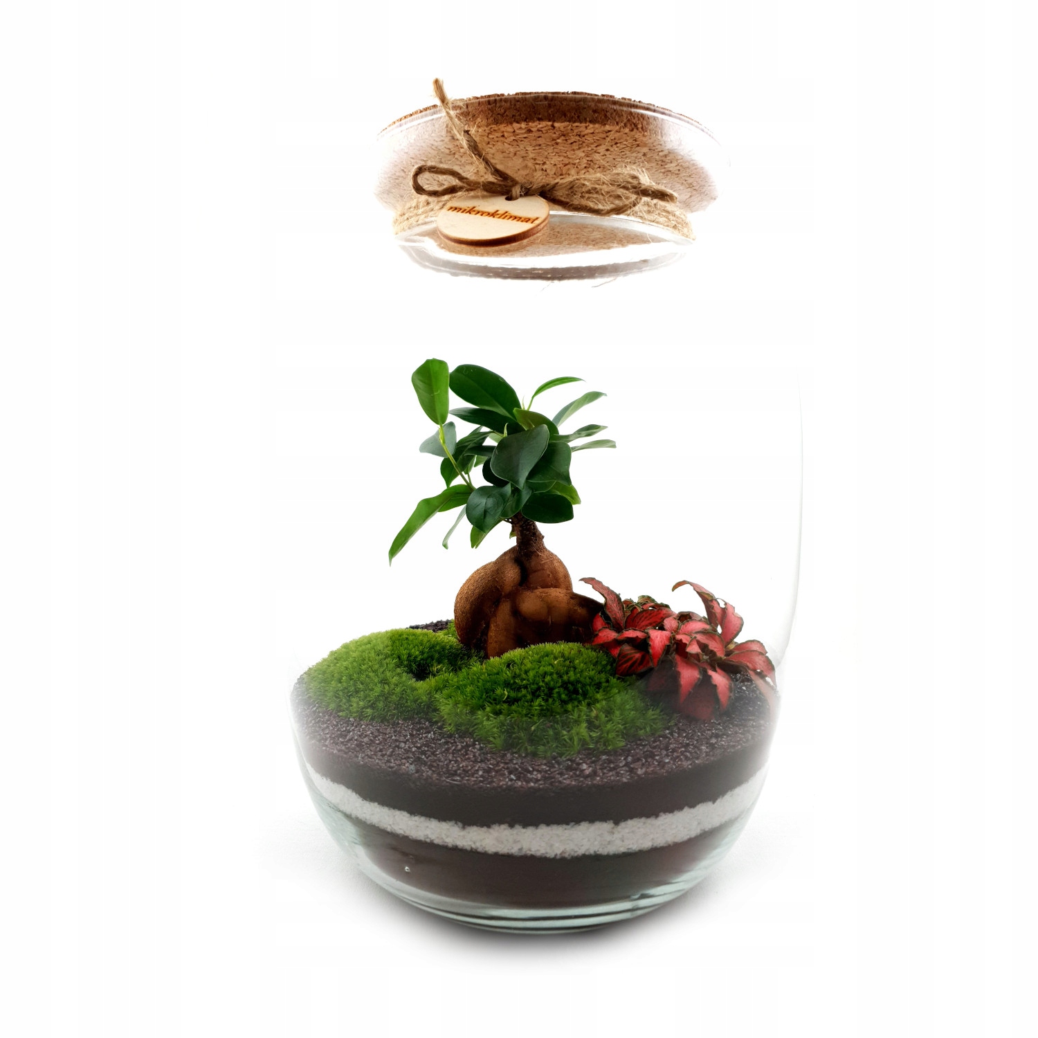 

MikroKlimat Las w słoiku Bonsai wys.33