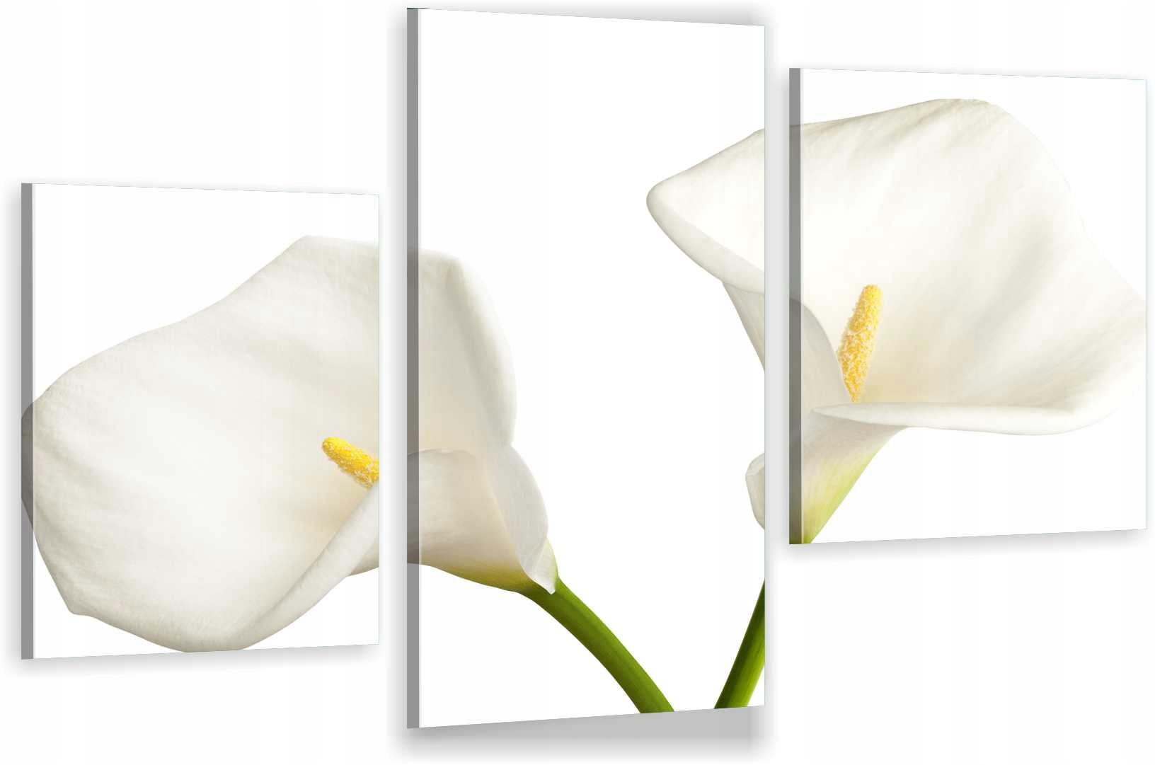 

Tryptyki Obraz Na Ścianę Do Sypialni Kalia Biała