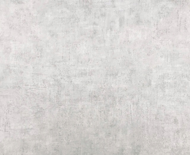 

Tapeta Winylowa Na Flizelinie Szary Tynk Beton Mat