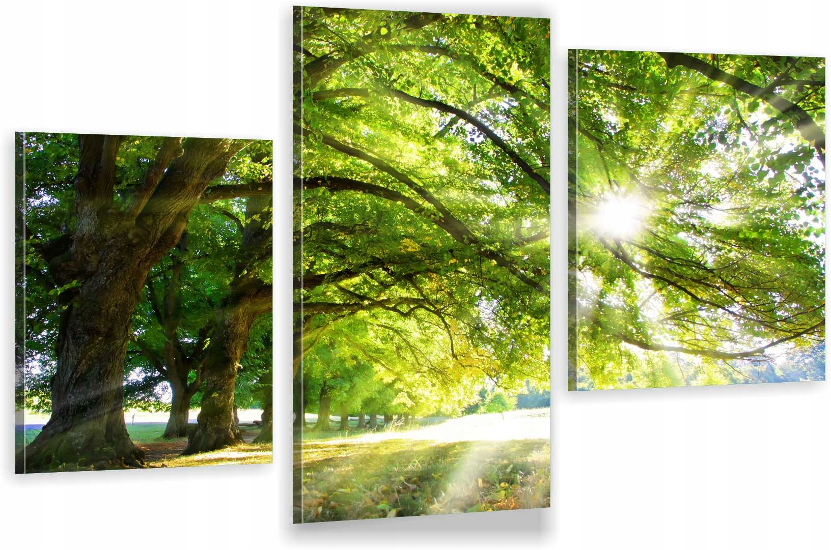 

Tryptyki Obraz Na Ścianę Słońce Drzewa Liście