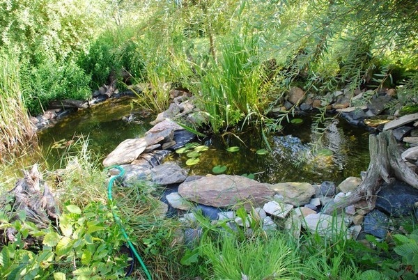 LAMPA UV 10 WATT DO OCZKO WODNE Marka inna