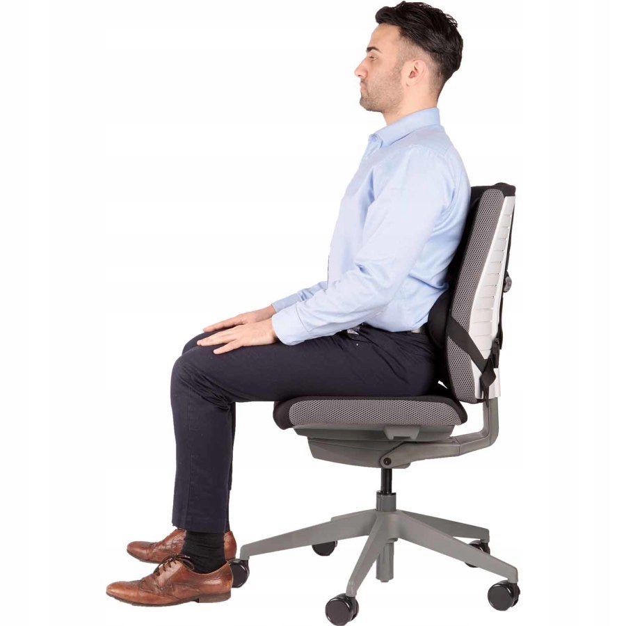 PODPÓRKA POD PLECY ergonom. profesjonalna Fellowes Kod producenta 9191301