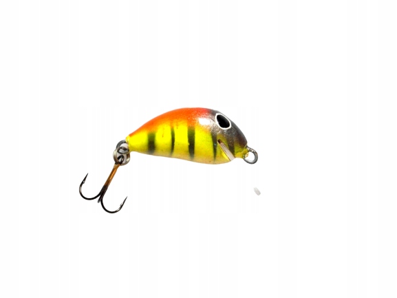Woblery Gębale "assan" 2,5cm Teeny W0139
