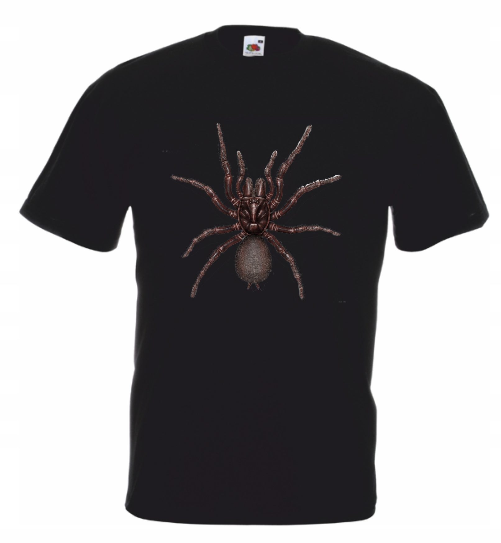

Koszulka męska z nadrukiem Pająk Spider L