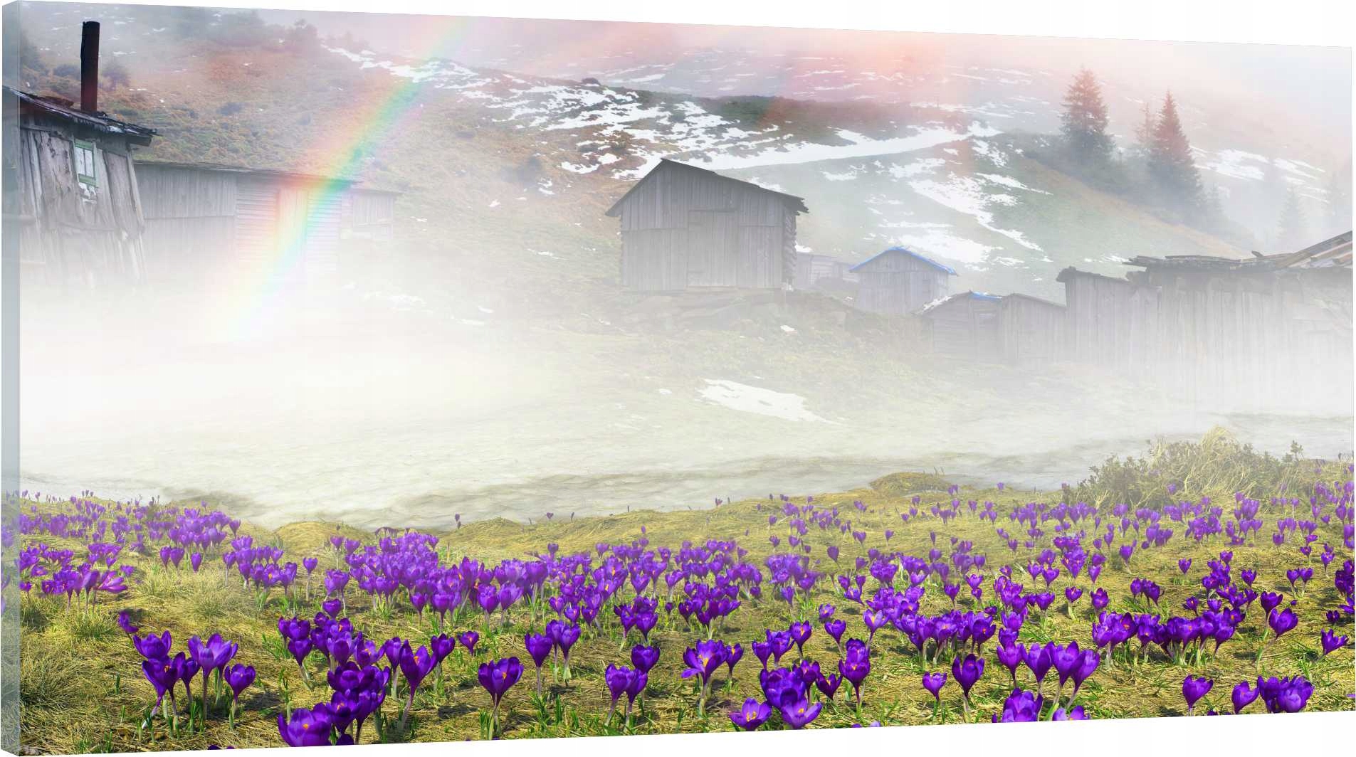 

Obraz panorama do salonu sypialni krokusy 120x60