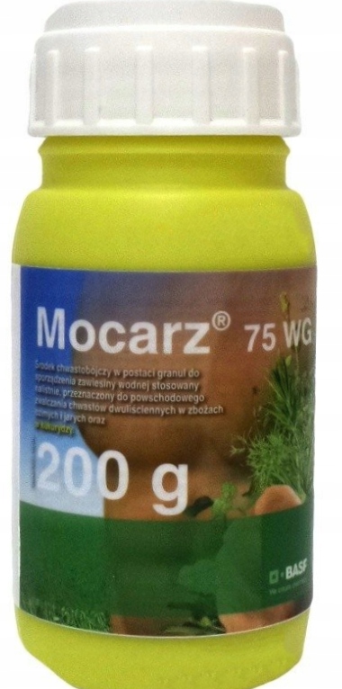

Mocarz 75WG 0,2KG Chwasty W Kukurydzy Zbożach 2023