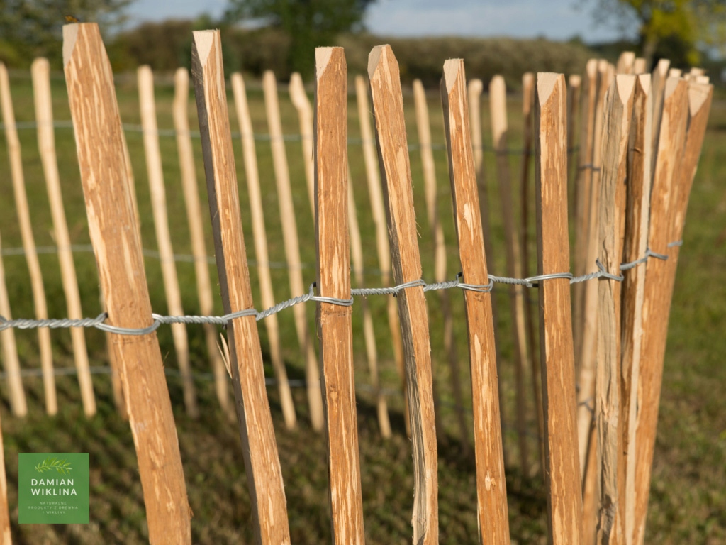 Płot Łupany H 150 x 5 m (7-8 cm) - Producent Wysokość 1.5 m